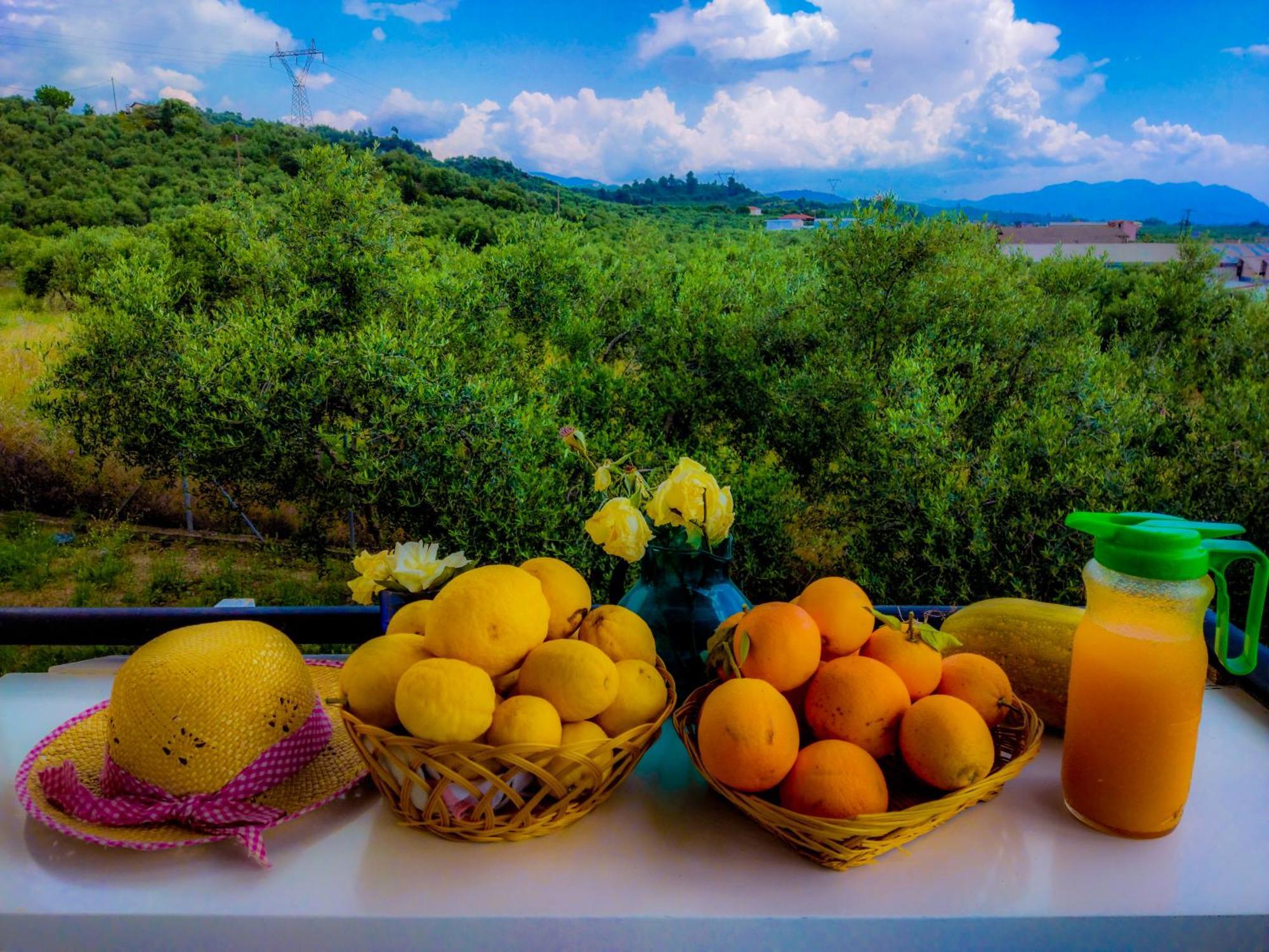 Your Spot West Peloponnese Shared Countryhouse Ζαχάρω Εξωτερικό φωτογραφία