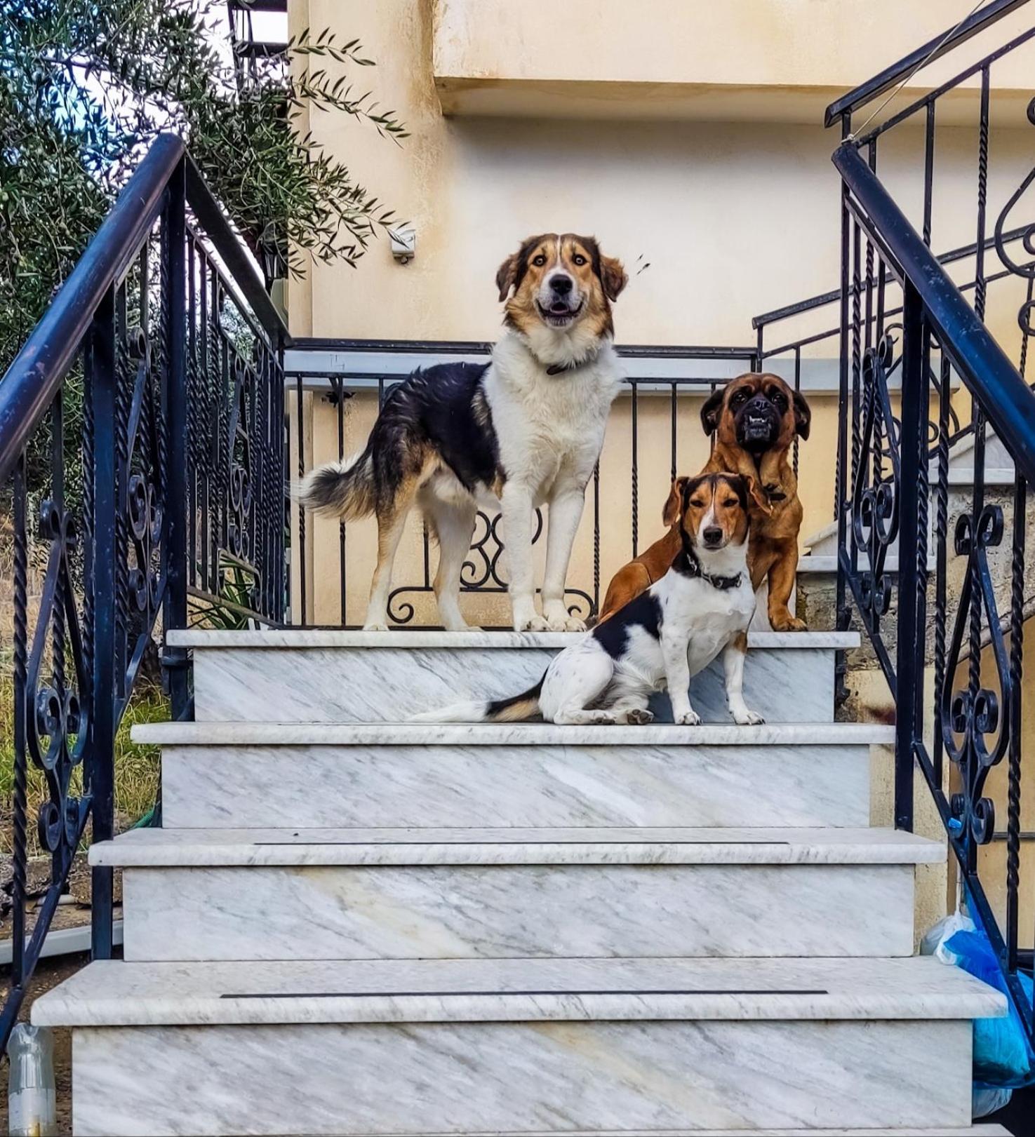 Your Spot West Peloponnese Shared Countryhouse Ζαχάρω Εξωτερικό φωτογραφία